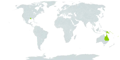 Canarium vitiense world distribution map, present in American Samoa, Australia, Fiji, Papua New Guinea, Solomon Islands, Tonga, United States of America, and Samoa