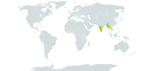 Capparis divaricata world distribution map, present in India, Lao People's Democratic Republic, Sri Lanka, and Myanmar