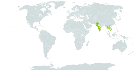 Capparis grandis world distribution map, present in India, Sri Lanka, Myanmar, Thailand, and Viet Nam