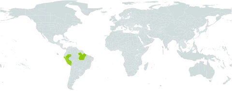 Caraipa myrcioides world distribution map, present in Brazil, Colombia, and Peru