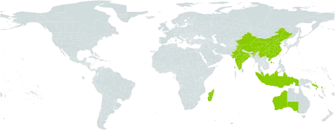 Carallia world distribution map, present in Australia, China, Indonesia, India, Madagascar, Malaysia, and Solomon Islands