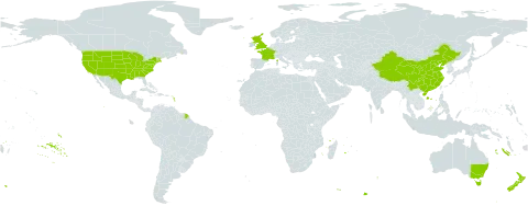 Carduus nutans world distribution map, present in Australia, China, France, United Kingdom of Great Britain and Northern Ireland, New Zealand, and United States of America