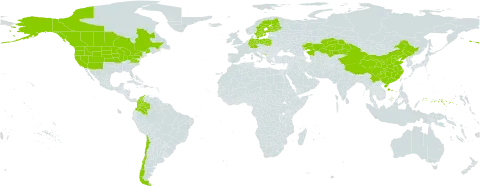 Carex atherodes world distribution map, present in Canada, Chile, China, Colombia, Germany, Finland, Micronesia (Federated States of), Kazakhstan, Montenegro, Poland, Sweden, Turks and Caicos Islands, and United States of America
