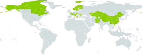 Carex atrofusca world distribution map, present in Afghanistan, Austria, Canada, Switzerland, China, Czech Republic, Finland, France, Italy, Kazakhstan, Kyrgyzstan, Montenegro, Norway, Nepal, Pakistan, Romania, Sweden, United States of America, and Uzbekistan