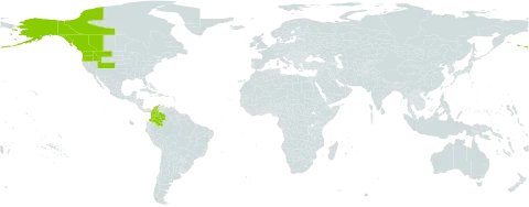 Carex atrosquama world distribution map, present in Canada, Colombia, and United States of America