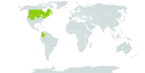 Carex backii world distribution map, present in Canada, Colombia, Micronesia (Federated States of), and United States of America