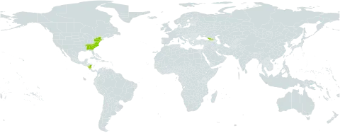 Carex barrattii world distribution map, present in Åland Islands, Georgia, Nicaragua, and United States of America