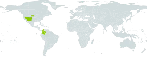 Carex bella world distribution map, present in Colombia and United States of America