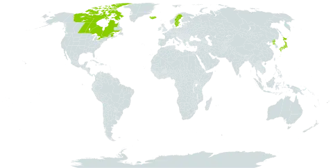 Carex bigelowii subsp. bigelowii world distribution map, present in Canada, Iceland, Japan, Nepal, Korea (Democratic People's Republic of), Svalbard and Jan Mayen, and Sweden