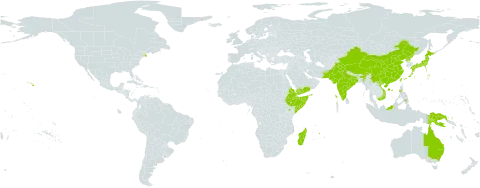 Carex brunnea world distribution map, present in Australia, China, Algeria, Eritrea, Ethiopia, Indonesia, India, Japan, Kenya, Madagascar, Mauritius, Malaysia, Norfolk Island, Pakistan, Philippines, Papua New Guinea, Korea (Democratic People's Republic of), Réunion, Somalia, Taiwan, Province of China, Uruguay, United States of America, Viet Nam, and Yemen