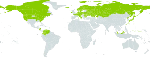 Carex buxbaumii world distribution map, present in Austria, Bulgaria, Belarus, Canada, Switzerland, Colombia, Czech Republic, Germany, Denmark, Finland, France, Micronesia (Federated States of), Ireland, Iceland, Italy, Japan, Kazakhstan, Malaysia, Nicaragua, Netherlands, Norway, Poland, Korea (Democratic People's Republic of), Romania, Russian Federation, Sweden, Ukraine, United States of America, and Venezuela (Bolivarian Republic of)