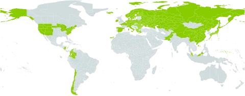 Carex canescens world distribution map, present in Albania, Austria, Bulgaria, Belarus, Switzerland, Chile, China, Colombia, Czech Republic, Germany, Denmark, Spain, Finland, Falkland Islands (Malvinas), France, Micronesia (Federated States of), Greece, Hungary, Ireland, Iceland, Italy, Japan, Kazakhstan, Kyrgyzstan, Montenegro, Malaysia, Nicaragua, Netherlands, Norway, Pakistan, Poland, Korea (Democratic People's Republic of), Romania, Russian Federation, Sweden, Turks and Caicos Islands, Ukraine, United States of America, and Uzbekistan