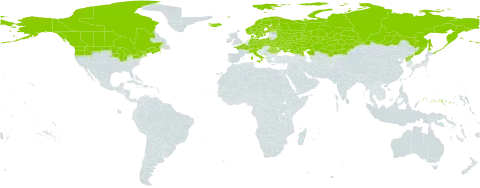 Carex chordorrhiza world distribution map, present in Austria, Belarus, Canada, Switzerland, Czech Republic, Germany, Denmark, Finland, France, Micronesia (Federated States of), Iceland, Italy, Kazakhstan, Montenegro, Norway, Poland, Korea (Democratic People's Republic of), Romania, Russian Federation, Sweden, Ukraine, and United States of America