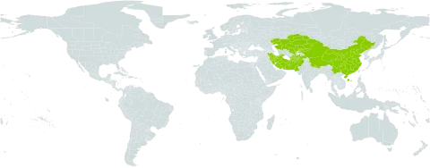 Carex deasyi world distribution map, present in Afghanistan, China, Iran (Islamic Republic of), Kazakhstan, Kyrgyzstan, Nepal, Pakistan, and Uzbekistan