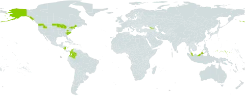 Carex deflexa world distribution map, present in Colombia, Micronesia (Federated States of), Georgia, Malaysia, Nicaragua, and United States of America