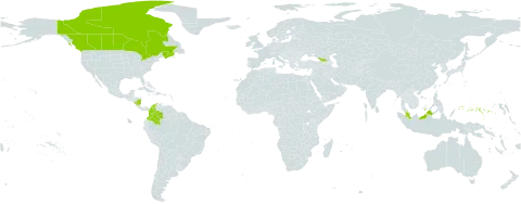 Carex deflexa var. deflexa world distribution map, present in Canada, Colombia, France, Micronesia (Federated States of), Georgia, Malaysia, and Nicaragua