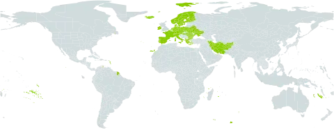 Carex demissa subsp. demissa world distribution map, present in Afghanistan, Albania, Austria, Bulgaria, Belarus, Switzerland, Czech Republic, Germany, Denmark, Spain, Finland, France, Greece, Hungary, Ireland, Iran (Islamic Republic of), Iceland, Italy, Netherlands, Norway, Poland, Portugal, Romania, Sweden, and Ukraine