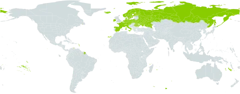 Carex dioica world distribution map, present in Austria, Belarus, Switzerland, Czech Republic, Germany, Denmark, Spain, Finland, France, Ireland, Iceland, Italy, Netherlands, Norway, Poland, Romania, Russian Federation, Svalbard and Jan Mayen, Sweden, and Ukraine