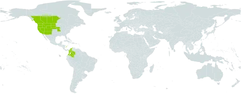 Carex douglasii world distribution map, present in Canada, Colombia, and United States of America