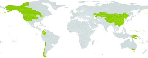 Carex duriuscula world distribution map, present in Australia, Canada, Chile, China, Colombia, Micronesia (Federated States of), Kazakhstan, Liberia, Montenegro, Mongolia, Papua New Guinea, Korea (Democratic People's Republic of), and United States of America