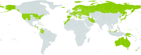Carex echinata world distribution map, present in Albania, Australia, Austria, Bulgaria, Belarus, Switzerland, Colombia, Czech Republic, Germany, Denmark, Spain, Finland, France, Micronesia (Federated States of), Greece, Guatemala, Haiti, Hungary, Indonesia, Ireland, Iran (Islamic Republic of), Iceland, Italy, Japan, Morocco, Malaysia, Nicaragua, Netherlands, Norway, New Zealand, Palau, Papua New Guinea, Poland, Korea (Democratic People's Republic of), Portugal, Romania, Russian Federation, Sweden, Turks and Caicos Islands, Ukraine, and United States of America