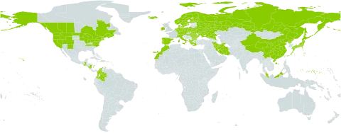 Carex echinata subsp. echinata world distribution map, present in Albania, Austria, Bulgaria, Belarus, Canada, Switzerland, China, Colombia, Czech Republic, Germany, Denmark, Spain, Finland, France, Micronesia (Federated States of), Greece, Guatemala, Haiti, Hungary, Ireland, Iran (Islamic Republic of), Iceland, Italy, Japan, Morocco, Malaysia, Nicaragua, Netherlands, Norway, Poland, Korea (Democratic People's Republic of), Portugal, Romania, Russian Federation, Sweden, Turks and Caicos Islands, Ukraine, and United States of America