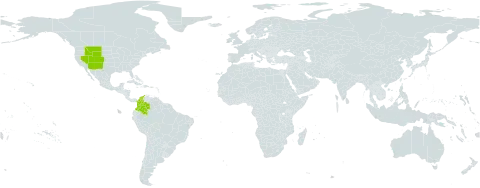 Carex elynoides world distribution map, present in Colombia and United States of America