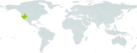 Carex fissuricola world distribution map, present in United States of America