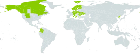Carex fuliginosa world distribution map, present in Austria, Bulgaria, Canada, Colombia, Czech Republic, Germany, Finland, Italy, Norway, Poland, Korea (Democratic People's Republic of), Romania, Svalbard and Jan Mayen, Sweden, Ukraine, and United States of America