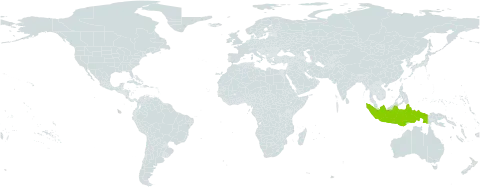 Carex gemella world distribution map, present in Indonesia