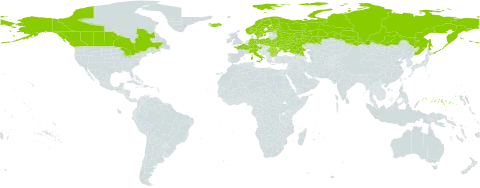 Carex heleonastes world distribution map, present in Austria, Bulgaria, Belarus, Canada, Switzerland, Germany, Finland, France, Micronesia (Federated States of), Iceland, Italy, Norway, Poland, Romania, Russian Federation, Sweden, Turks and Caicos Islands, Ukraine, and United States of America