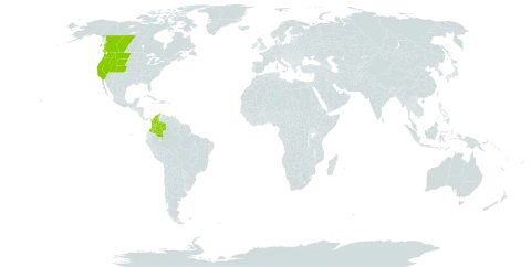 Carex infirminervia world distribution map, present in Canada, Colombia, and United States of America