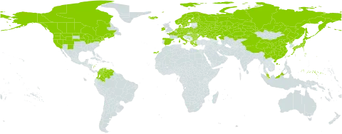 Carex limosa world distribution map, present in Austria, Bulgaria, Belarus, Canada, Switzerland, China, Colombia, Czech Republic, Germany, Dominica, Denmark, Spain, Finland, France, Micronesia (Federated States of), Greece, Hungary, Ireland, Iceland, Italy, Japan, Kazakhstan, Montenegro, Malaysia, Netherlands, Norway, Poland, Korea (Democratic People's Republic of), Romania, Russian Federation, Sweden, Turks and Caicos Islands, Ukraine, United States of America, and Venezuela (Bolivarian Republic of)