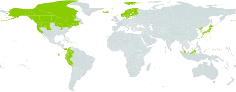 Carex livida world distribution map, present in Canada, Colombia, Ecuador, Finland, France, Micronesia (Federated States of), Iceland, Japan, Malaysia, Norway, Panama, Peru, Korea (Democratic People's Republic of), Sweden, and United States of America