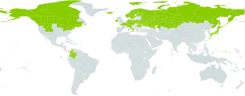 Carex magellanica subsp. irrigua world distribution map, present in Austria, Belarus, Canada, Switzerland, Colombia, Czech Republic, Germany, Finland, France, Micronesia (Federated States of), Ireland, Iceland, Italy, Japan, Kazakhstan, Montenegro, Norway, Poland, Romania, Russian Federation, Sweden, Turks and Caicos Islands, Ukraine, and United States of America