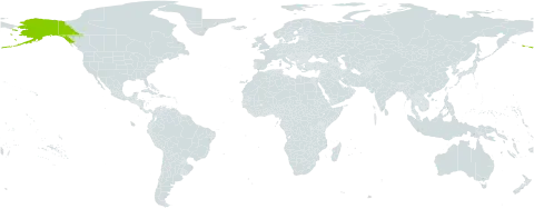Carex microchaeta world distribution map, present in Canada and United States of America