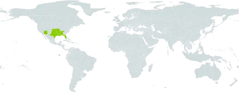 Carex microdonta world distribution map, present in Åland Islands and United States of America
