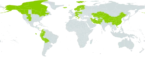 Carex microglochin world distribution map, present in Afghanistan, Austria, Bolivia (Plurinational State of), Canada, Switzerland, China, Colombia, Germany, Ecuador, Finland, France, Iran (Islamic Republic of), Iceland, Italy, Kazakhstan, Kyrgyzstan, Montenegro, Norway, Nepal, Pakistan, Peru, Poland, Sweden, Turks and Caicos Islands, United States of America, and Uzbekistan