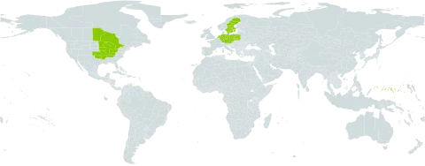 Carex muskingumensis world distribution map, present in Austria, Canada, Czech Republic, Germany, Micronesia (Federated States of), Netherlands, Poland, Sweden, and United States of America