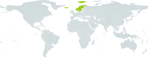 Carex nardina var. nardina world distribution map, present in Iceland, Norway, and Sweden
