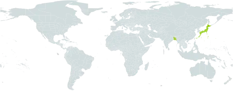 Carex olivacea world distribution map, present in Bangladesh and Japan