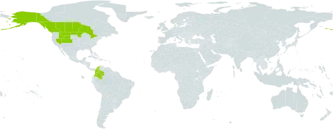 Carex parryana world distribution map, present in Canada, Colombia, and United States of America