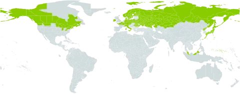 Carex pauciflora world distribution map, present in Austria, Belarus, Canada, Switzerland, Czech Republic, Germany, Denmark, Finland, France, Micronesia (Federated States of), Ireland, Italy, Japan, Kazakhstan, Malaysia, Norway, Poland, Korea (Democratic People's Republic of), Romania, Russian Federation, Sweden, Ukraine, and United States of America