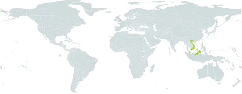 Carex perakensis var. borneensis world distribution map, present in Algeria, Iceland, Malaysia, and Viet Nam