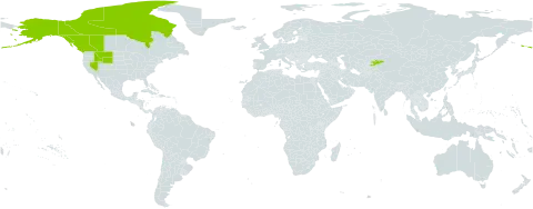 Carex podocarpa world distribution map, present in Canada, Kyrgyzstan, and United States of America