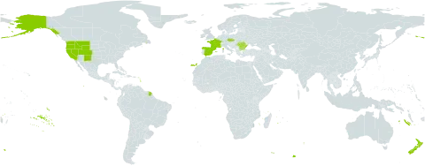 Carex pyrenaica world distribution map, present in Bulgaria, Czech Republic, Spain, France, New Zealand, Romania, Turks and Caicos Islands, and United States of America