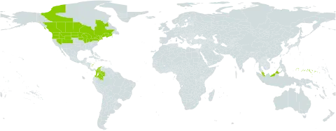 Carex retrorsa world distribution map, present in Canada, Colombia, Micronesia (Federated States of), Malaysia, and United States of America