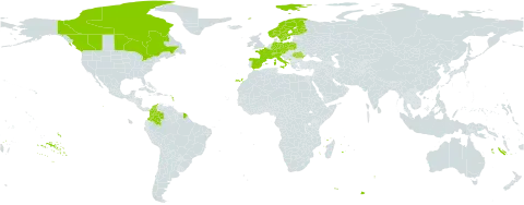 Carex simpliciuscula world distribution map, present in Austria, Canada, Switzerland, Colombia, Czech Republic, Germany, Spain, Finland, France, Italy, Montenegro, Norway, Poland, Romania, Sweden, and Turks and Caicos Islands