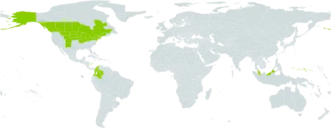 Carex sprengelii world distribution map, present in Canada, Colombia, Micronesia (Federated States of), Malaysia, and United States of America
