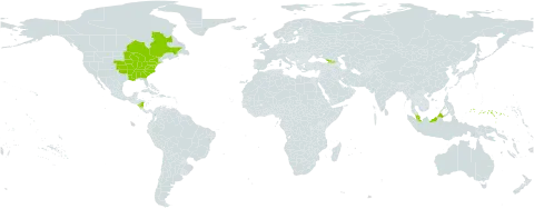 Carex squarrosa world distribution map, present in Åland Islands, Canada, Micronesia (Federated States of), Georgia, Malaysia, Nicaragua, and United States of America